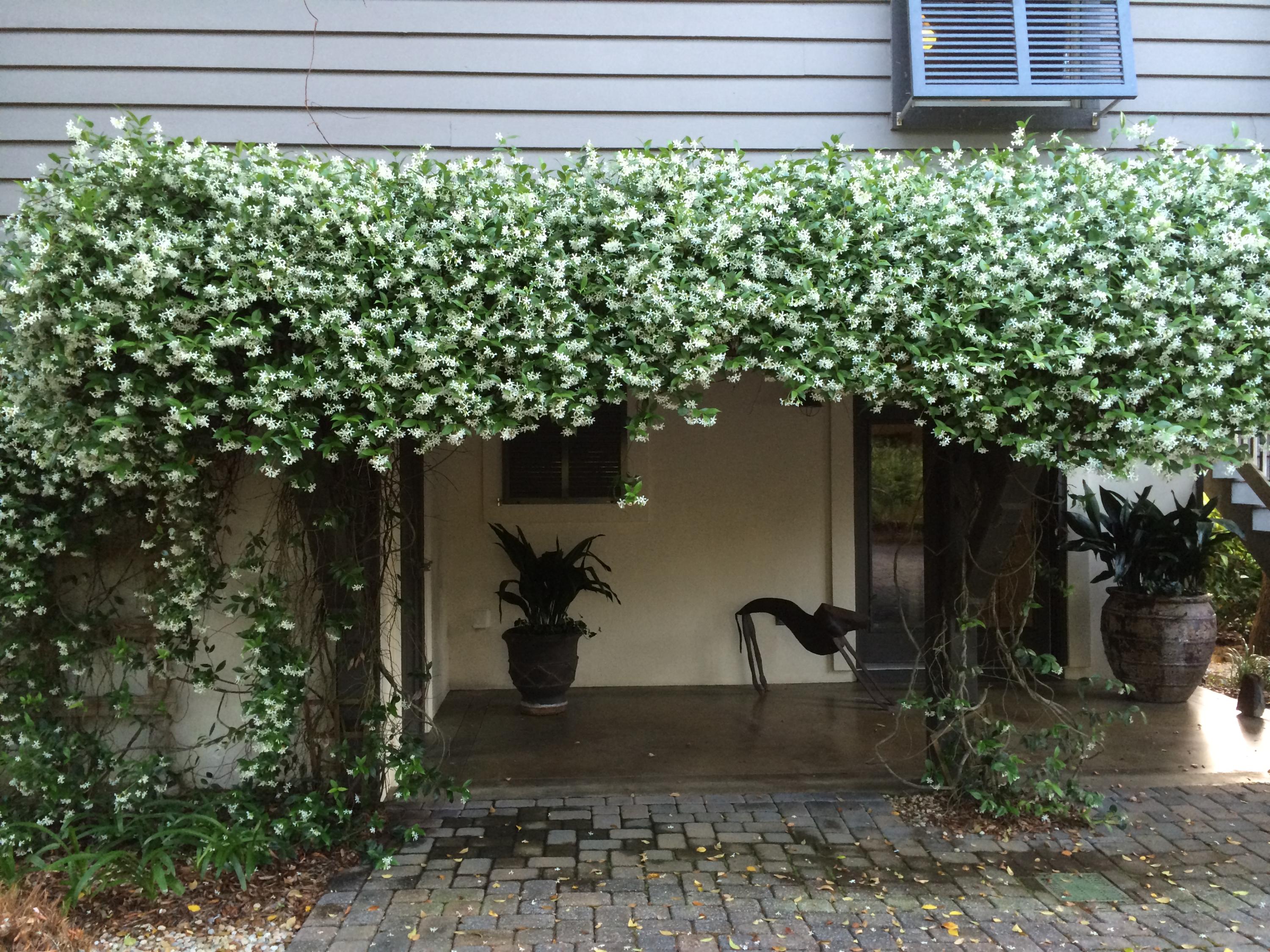 BEACH HIGHLAND - Residential