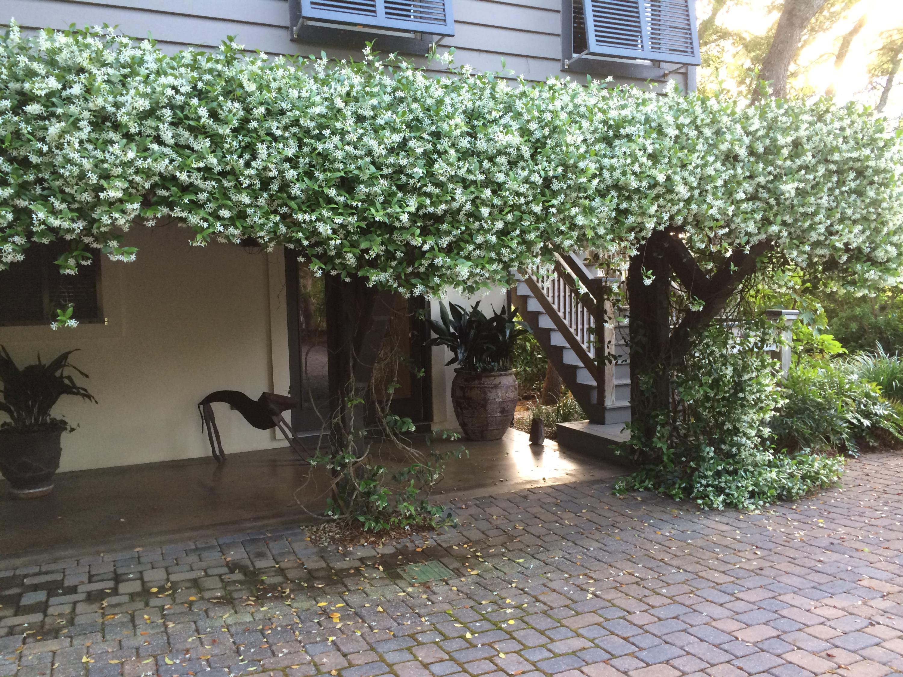 BEACH HIGHLAND - Residential