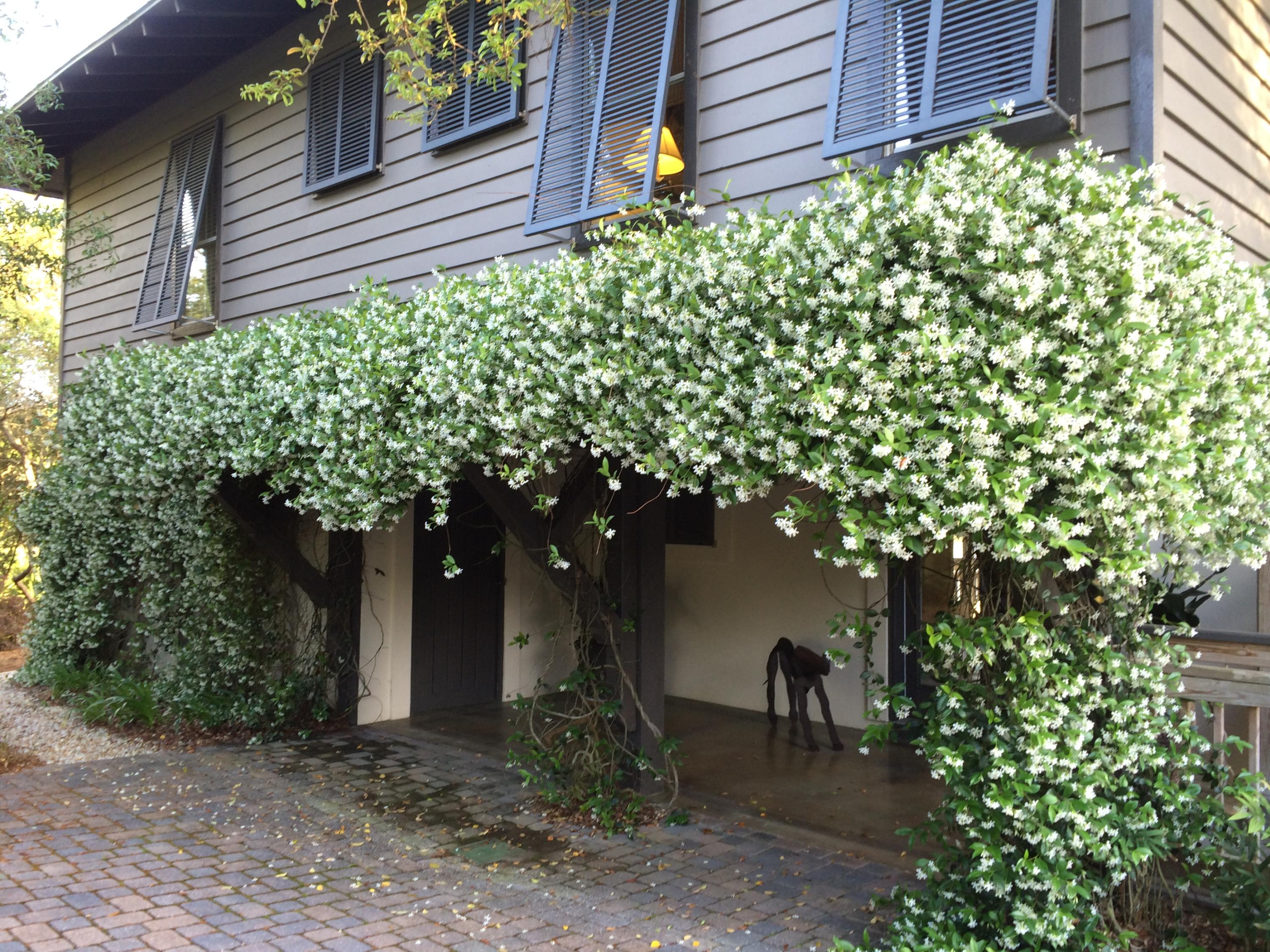 BEACH HIGHLAND - Residential