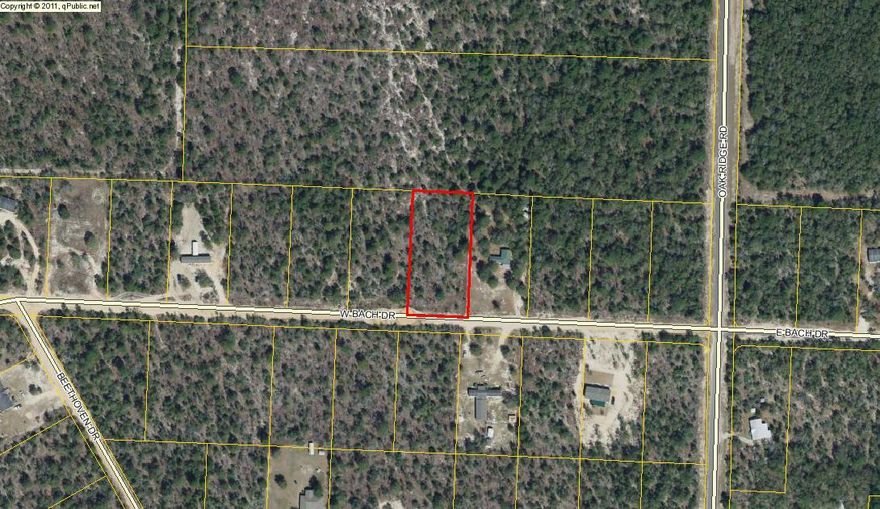 Vacant one-acre lot at a reasonable price. Prepare now for your future home.