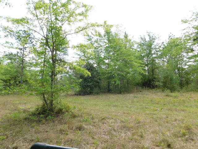 Metes and Bounds - Residential