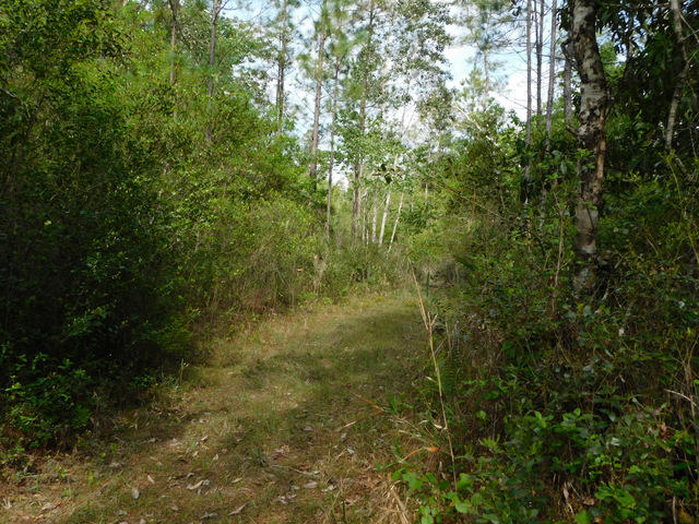 Metes and Bounds - Residential