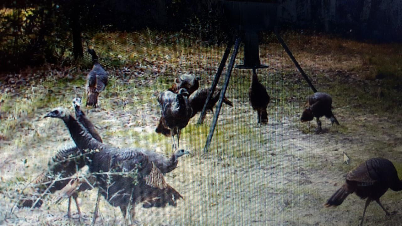 Metes and Bounds - Residential