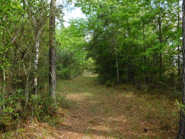 Metes and Bounds - Residential