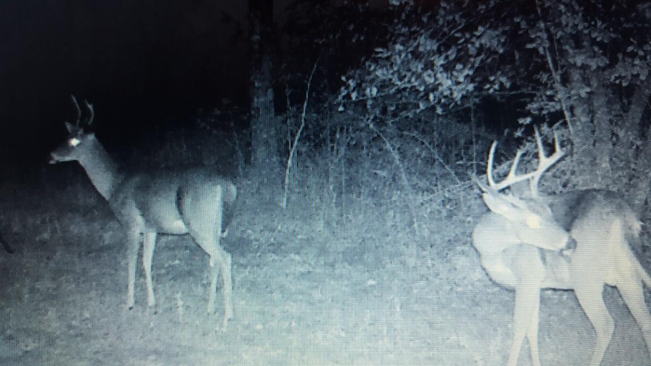 Metes and Bounds - Residential