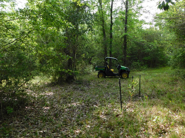 Metes and Bounds - Residential