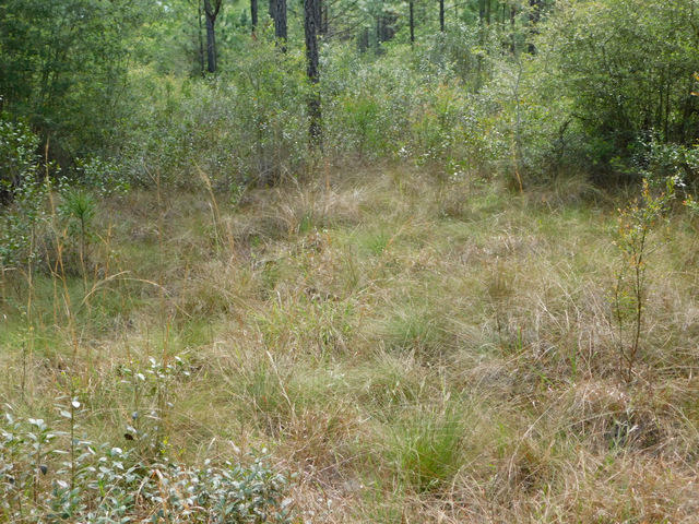 Metes and Bounds - Residential