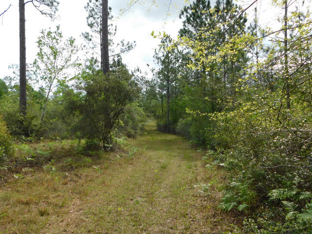 Metes and Bounds - Residential