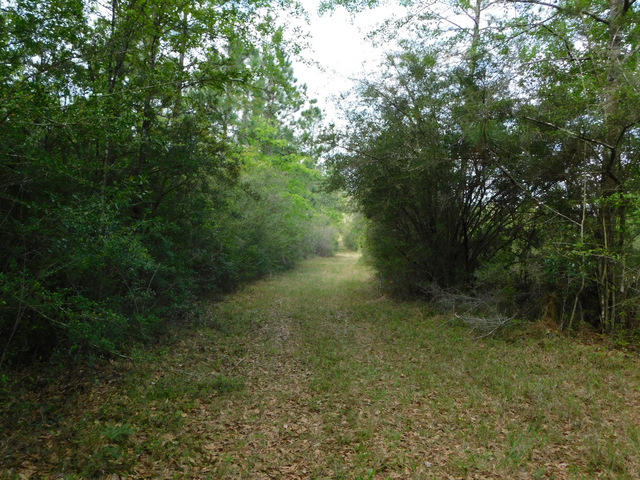 Metes and Bounds - Residential