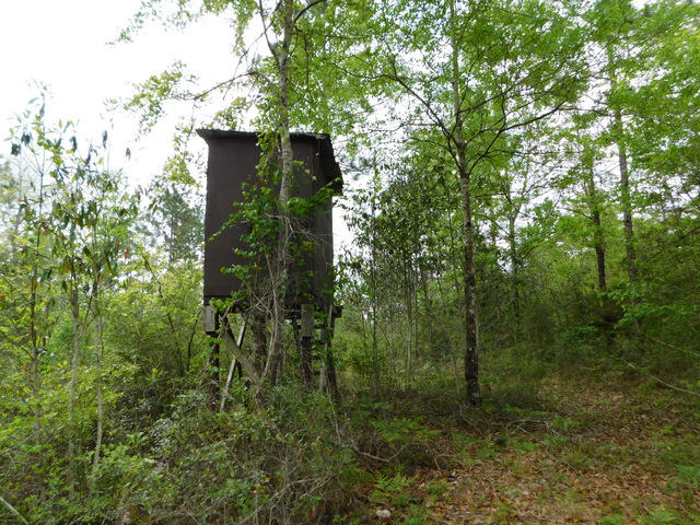 Metes and Bounds - Residential