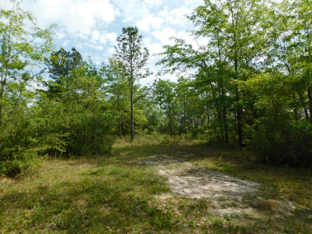 Metes and Bounds - Residential