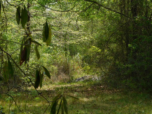 Metes and Bounds - Residential