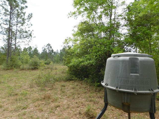 Metes and Bounds - Residential