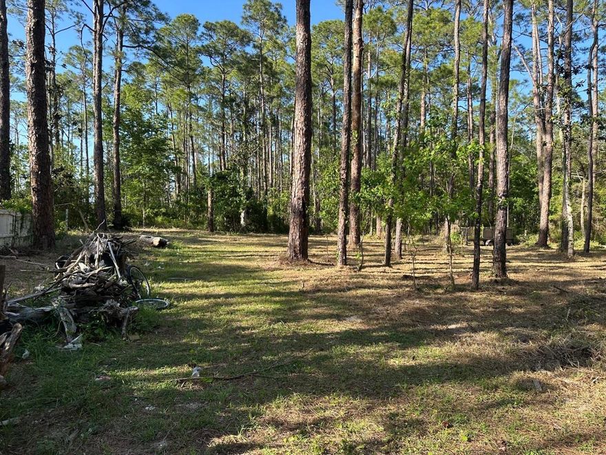 Situated just off Churchill Bayou, this exceptional partially cleared 3-lot parcel presents a rare chance to acquire prime real estate in a tranquil and sought-after area. With convenient access to the local Hogtown Bayou boat launch. Minutes from the stunning white sand beaches of 30A, this property is ideal for beach lovers. Build your dream home with ample space just minutes from adventure!