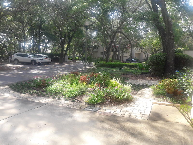 MARINA COVE VILLAGE PH 1 - Residential