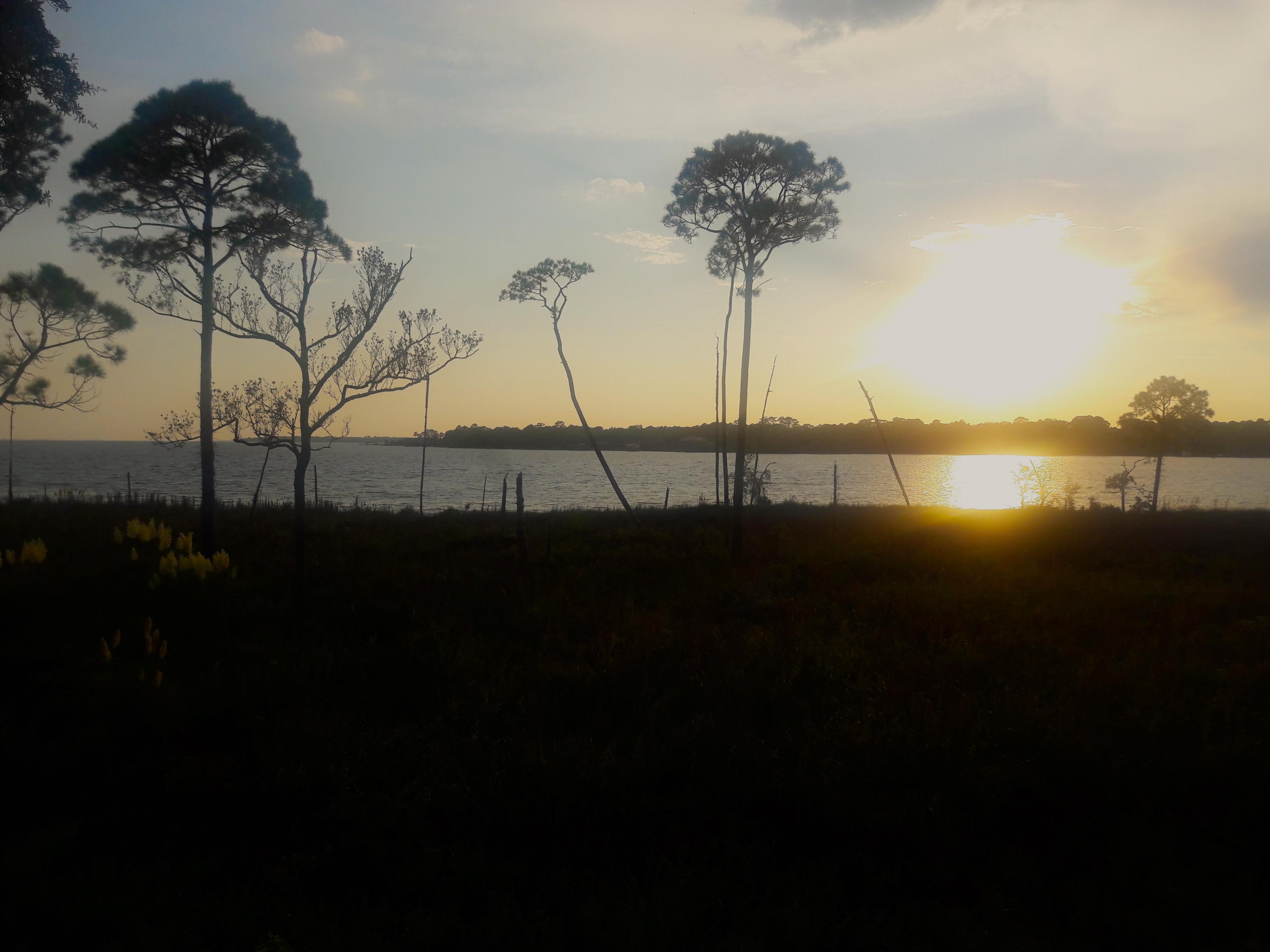 MARINA COVE VILLAGE PH 1 - Residential