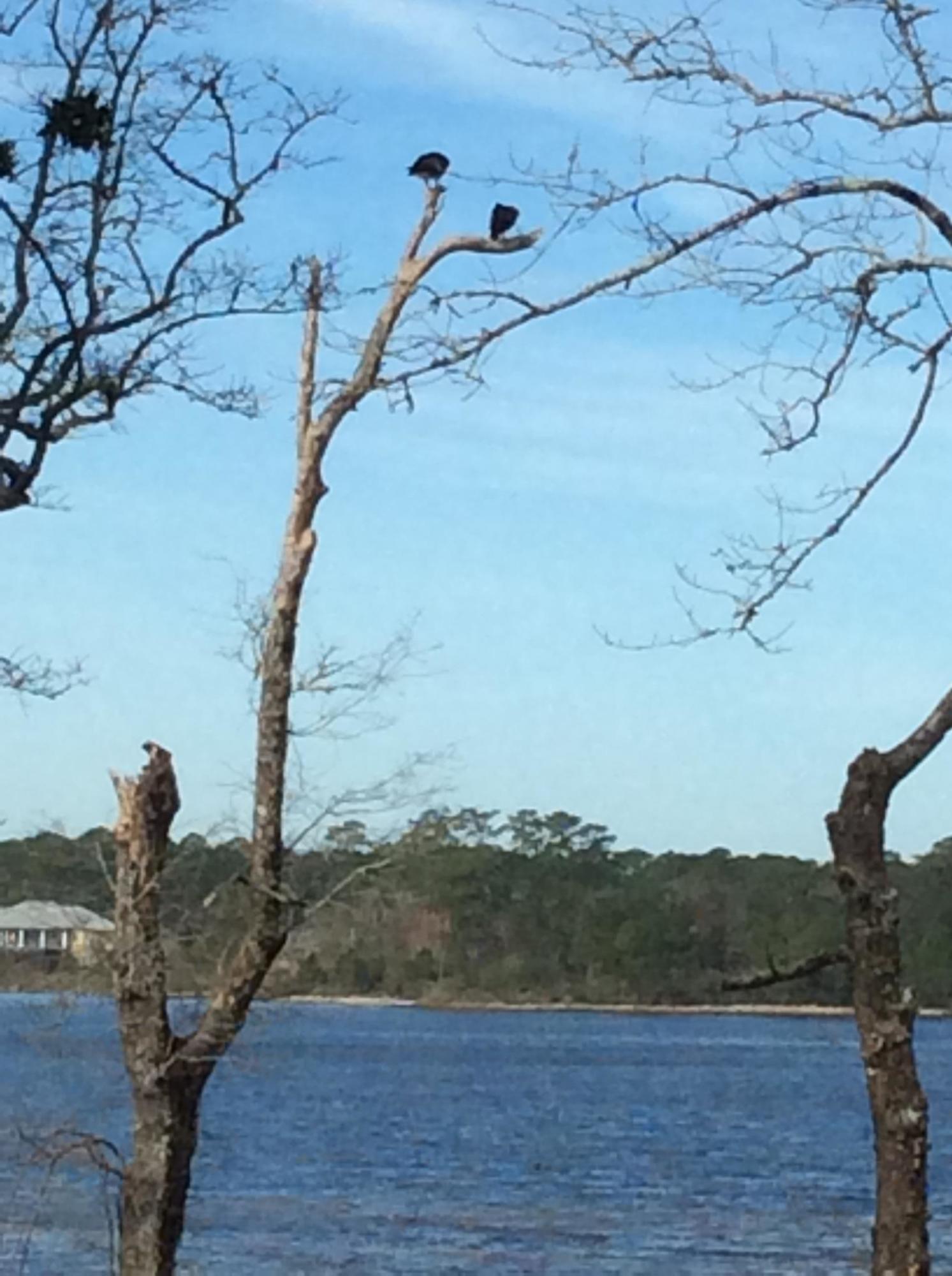 MARINA COVE VILLAGE PH 1 - Residential