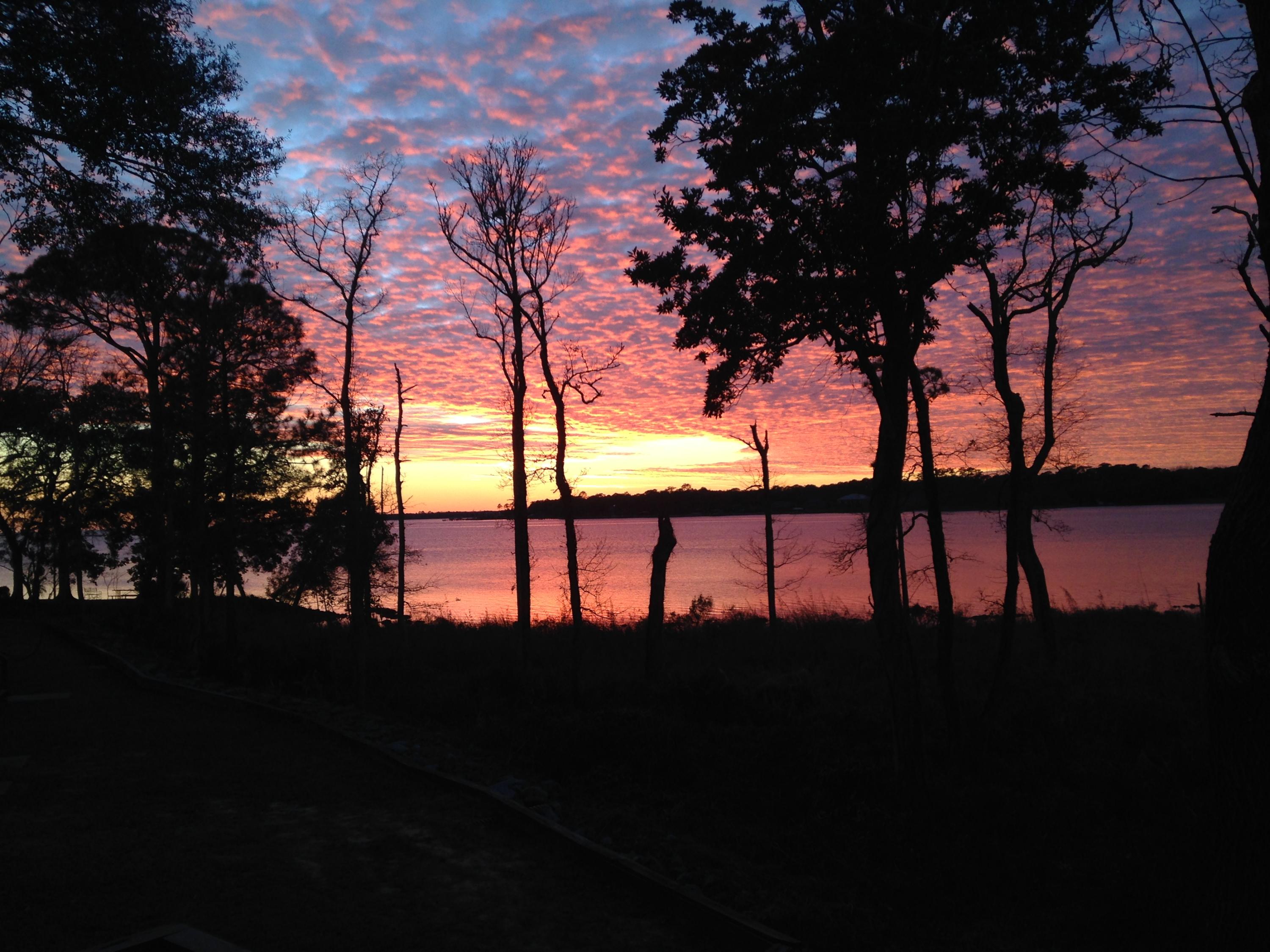 MARINA COVE VILLAGE PH 1 - Residential