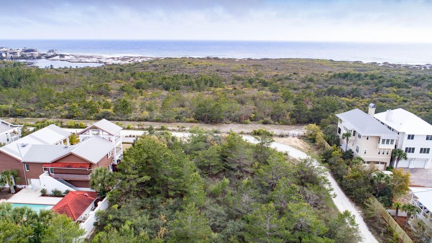 Private, large, corner lot with so many unique features; including a 40 ft elevation and an un-nobstructed view of Topsail State Park and the Gulf of Mexico. Enjoy the abundance of wildlife and build your private estate on the 100' x 140' lot with additional buffers space. Located in a secluded neighborhood on the coveted West end, just off Hwy 30A, close to the water and No HOA. Buyer to verify all information.