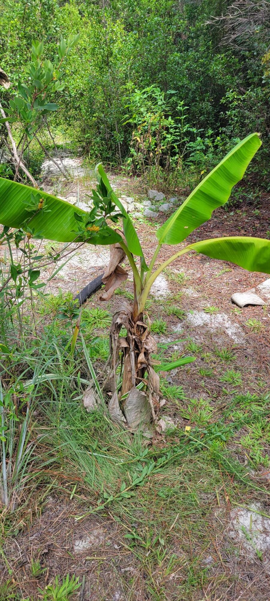 IMPERIAL LAKES - Land