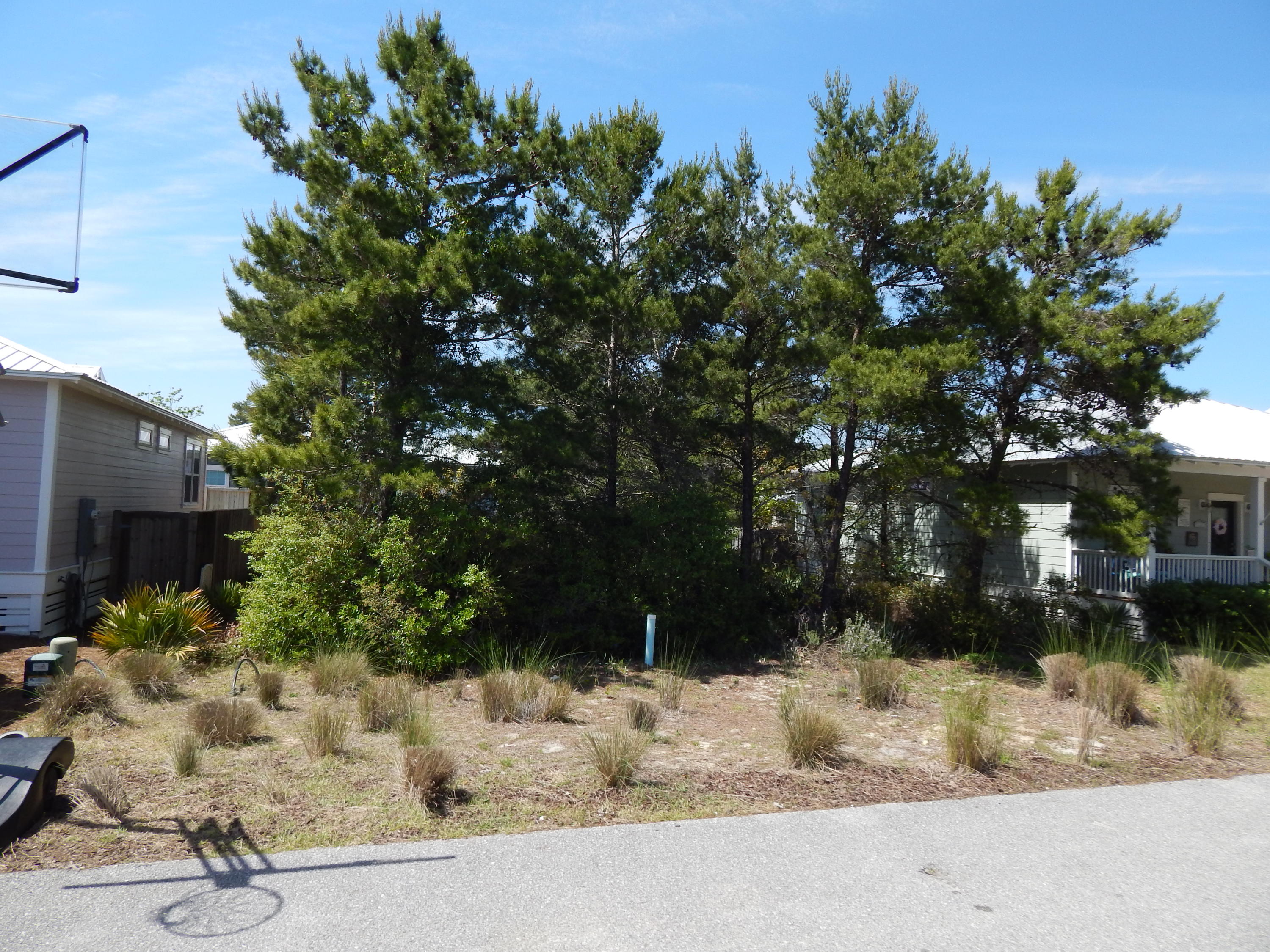 Paradise Grove - Land