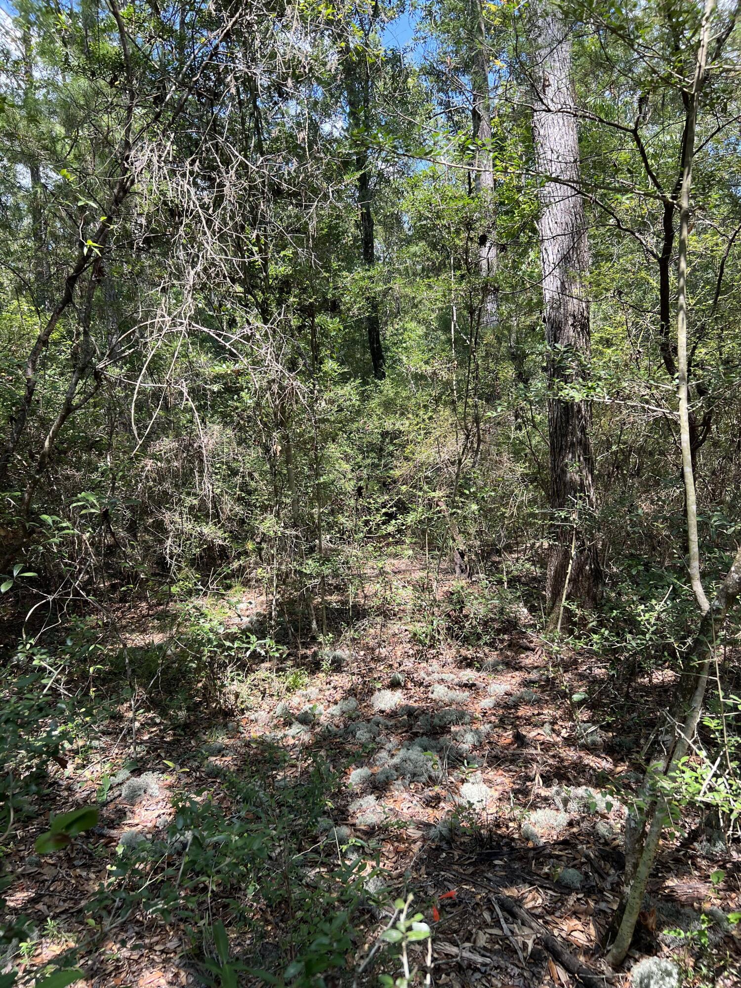 Beautiful vacant land in the fast-growing city of Freeport. Don't miss out on this opportunity.