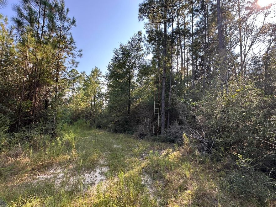 Do Not Enter the Property without an agent who has an approved appointment. Discover opportunity along New Ebenezer Road in Laurel Hill. This expansive parcel offers a peaceful setting with paved access and room to bring your vision to life. The location provides a balance of privacy and practicality, surrounded by the quiet charm of North Okaloosa County. Whether you're planning a new build, agricultural use, or a strategic land investment, this property delivers potential and space to make it your own.