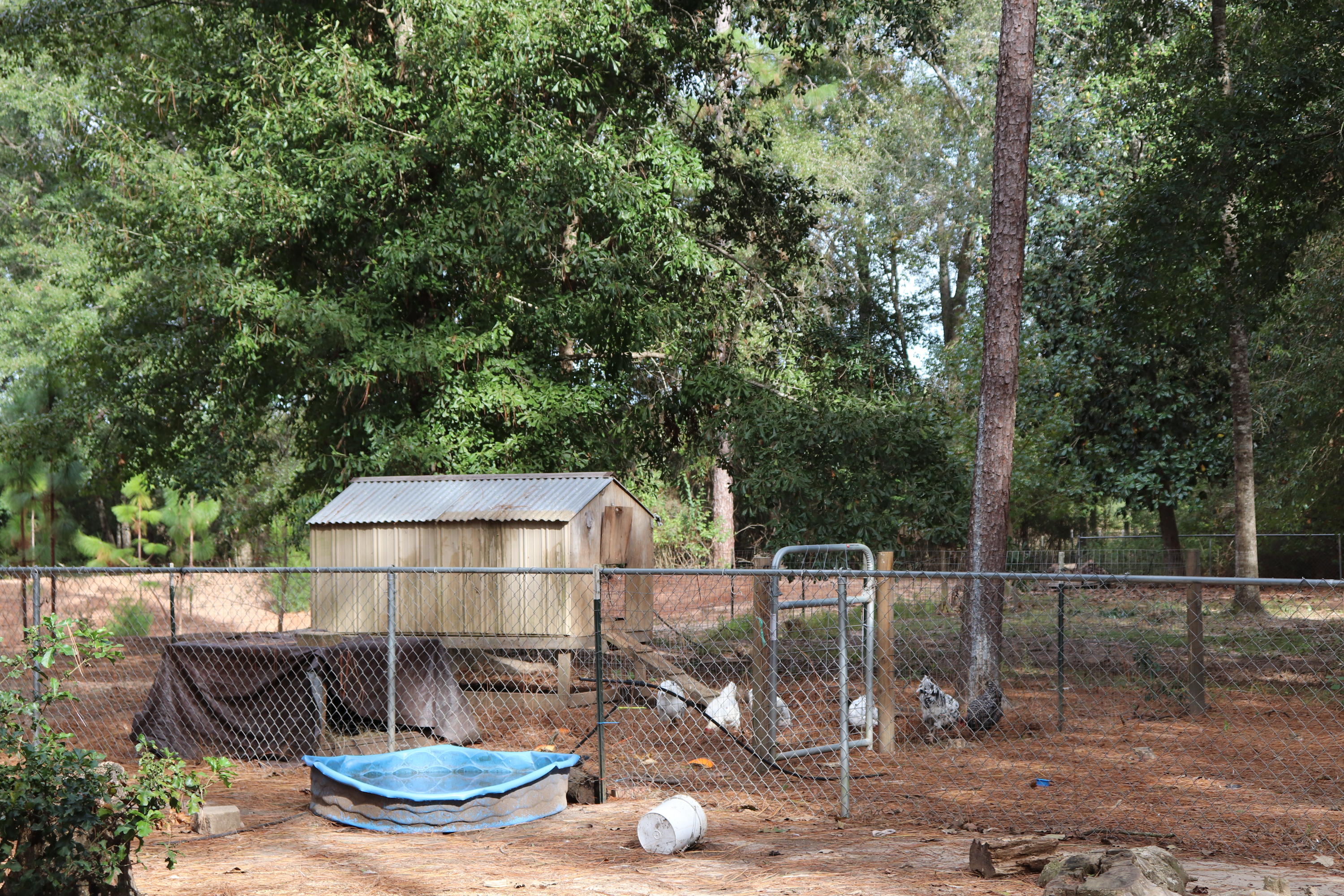 Indian Ford Road - Residential