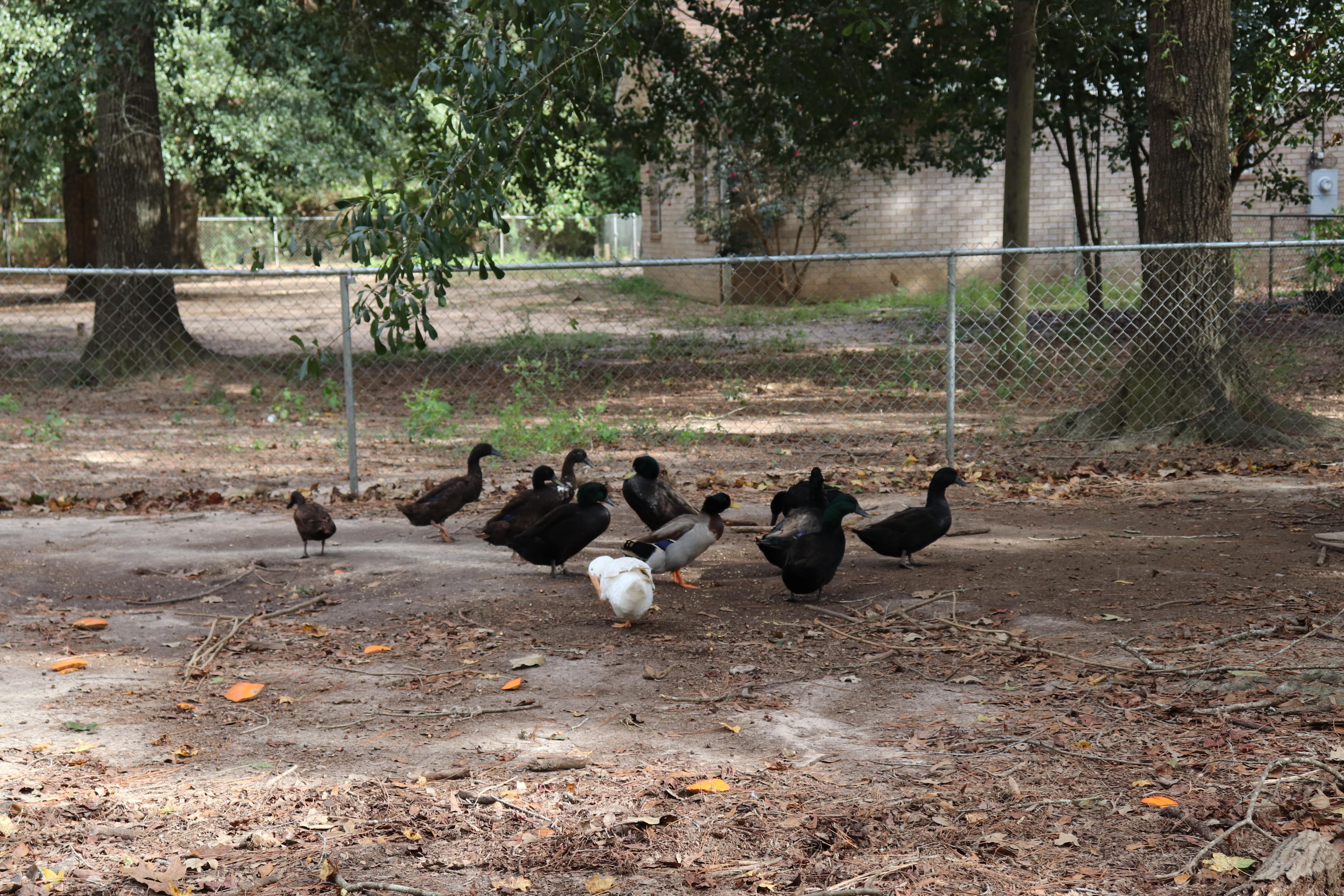 Indian Ford Road - Residential