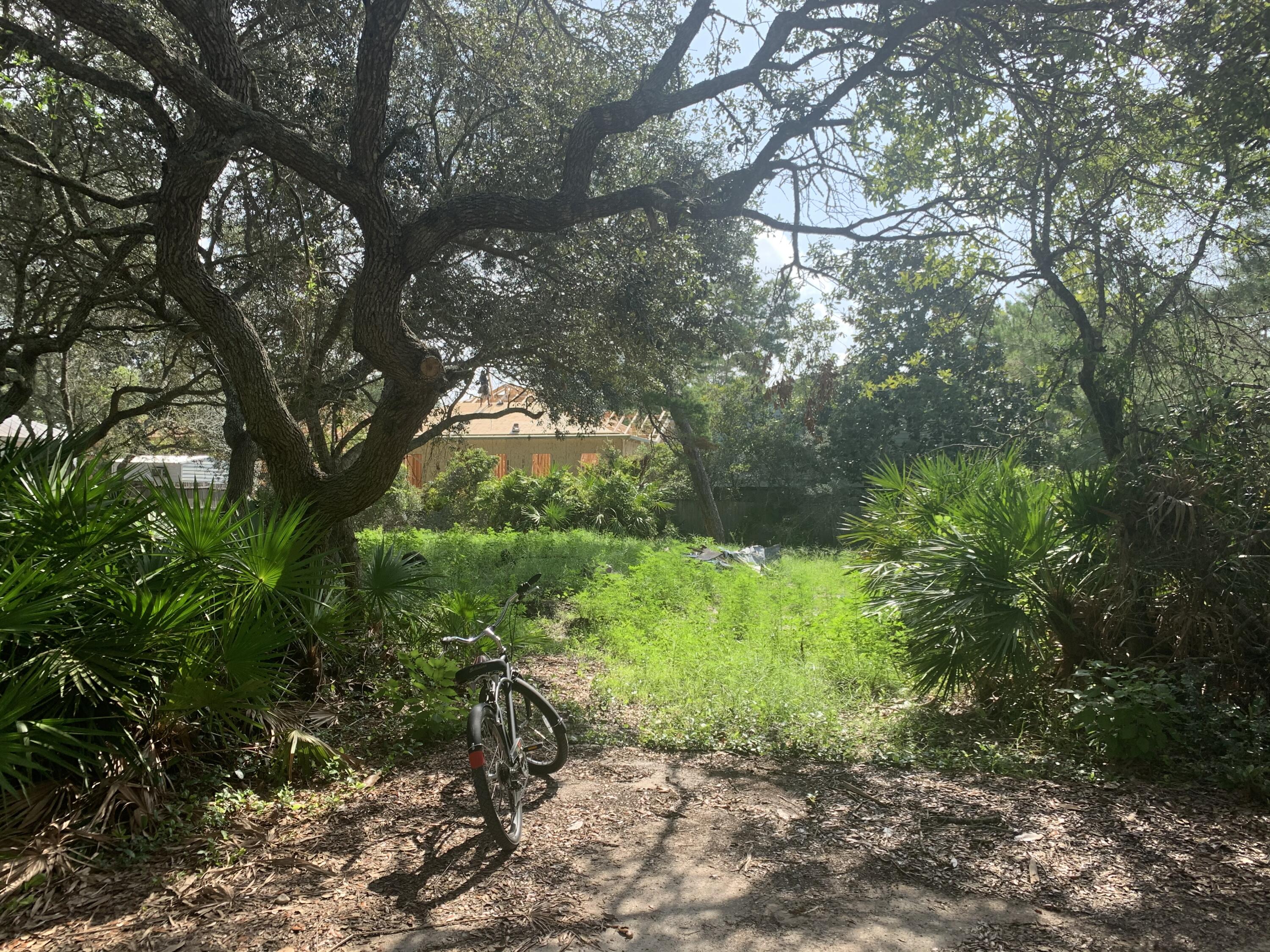 2 Separate Lots attached to each other.... INCREDIBLE LOCATION IN OLD SEAGROVE SOUTH OF 30A! LOT 5 & 8 must be sold together. Enjoy a short walk or bike to the beach. Incredible oak trees that could provide the perfect opportunity to build your dream vacation home or primary residence. New shopping and Restaurants just down the street. No HOA or build out time. Perfect opportunity to build on one and hold the other lot for future development. Lot dimensions 50 x108. All info and measurements are deemed to be accurate, but all info should be verified by buyer and/or buyer's agent.