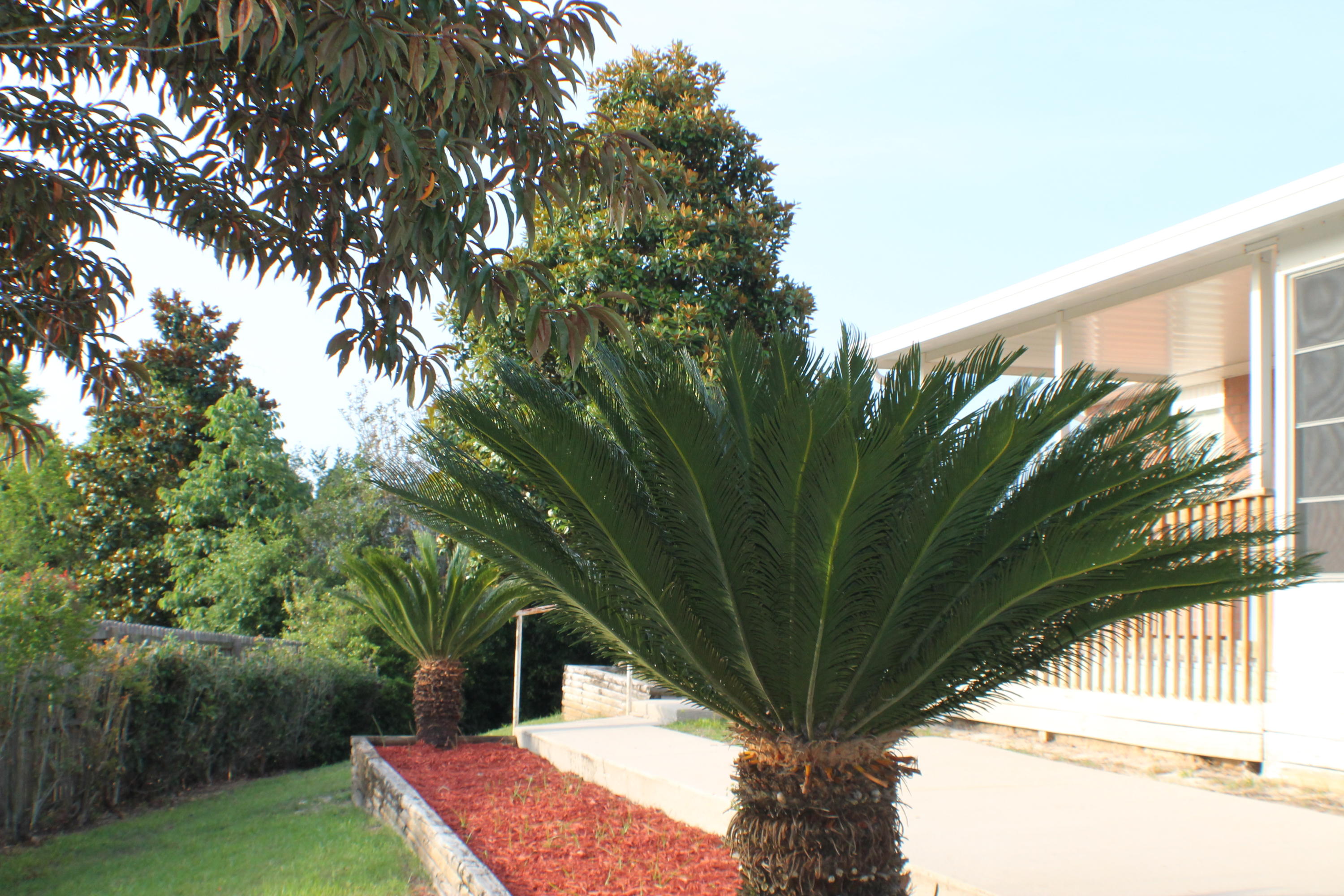 WESTVIEW ESTATES PH 5 - Residential