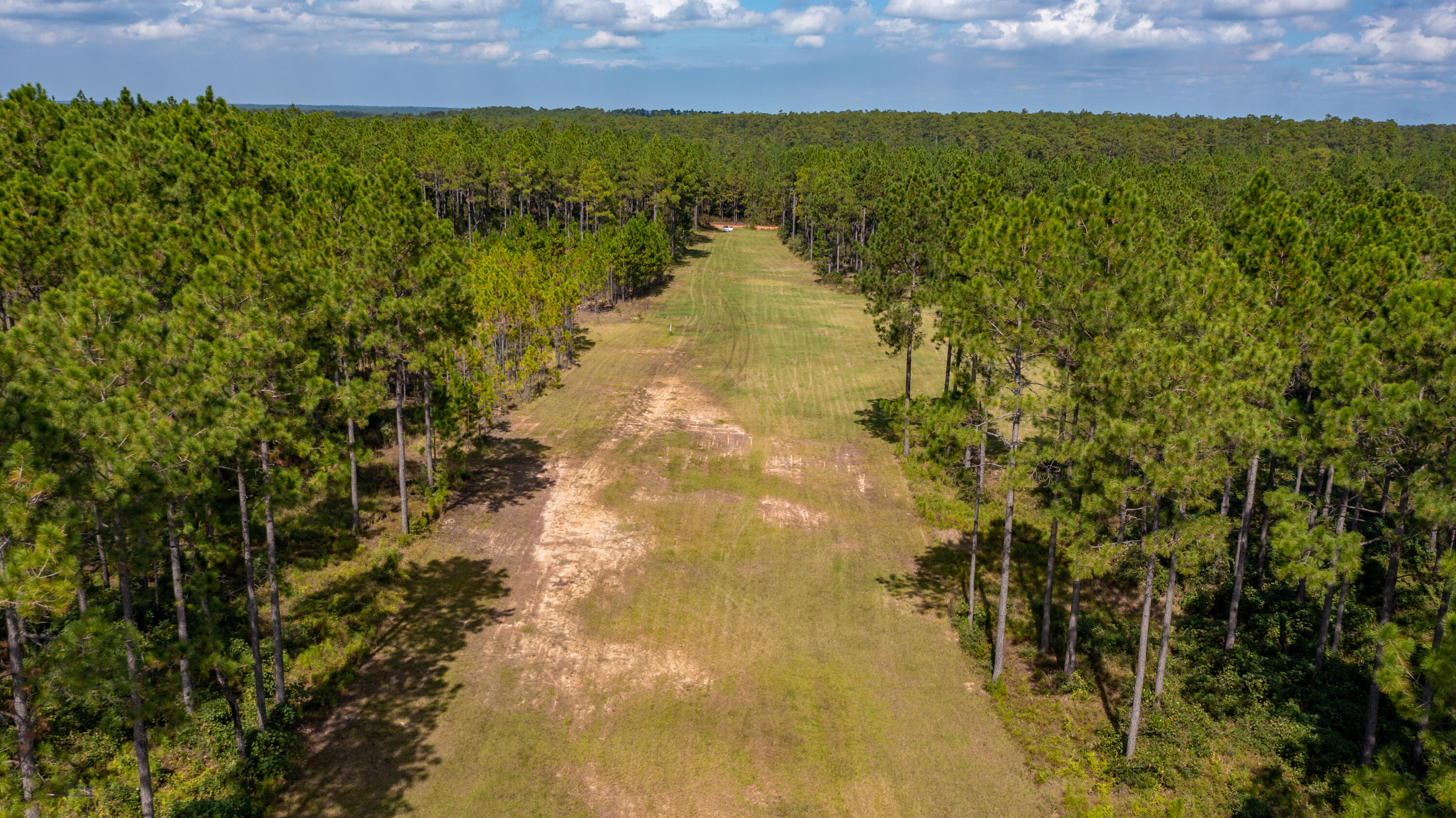 Bob Brooks Road - Farm