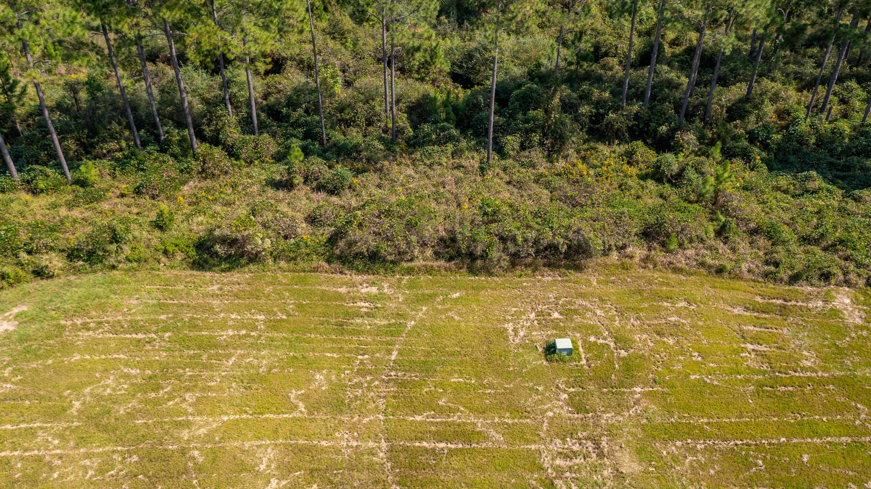 Bob Brooks Road - Farm