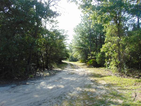 Hinote Commons Unrecorded S/D - Residential