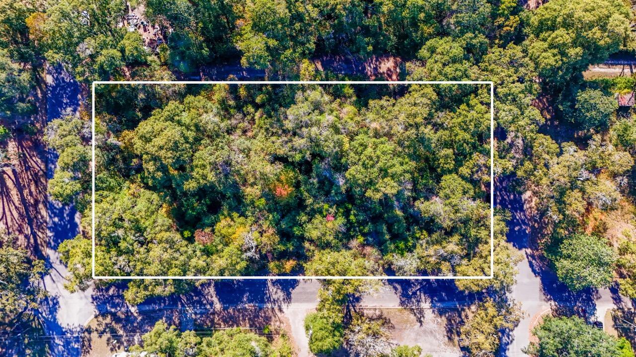 Great opportunities await in the heart of Crestview! Property is walking distance to shoppes, courthouse and dining. Possibilities are endless with this multi-use lot nestled just a few blocks away from historic downtown Main St. Property can be subdivided into a maximum of 6 lots for development or even light commercial use. Parcel spans between Griffith Ave and Walnut Ave along Savage St. Buyer to confirm all uses and land details. Seller can provide original survey upon request.Professional photos coming soon.
