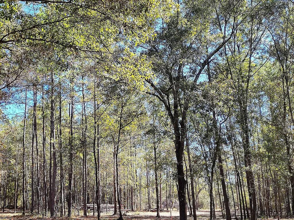 HOLBROOK HILLS - Land