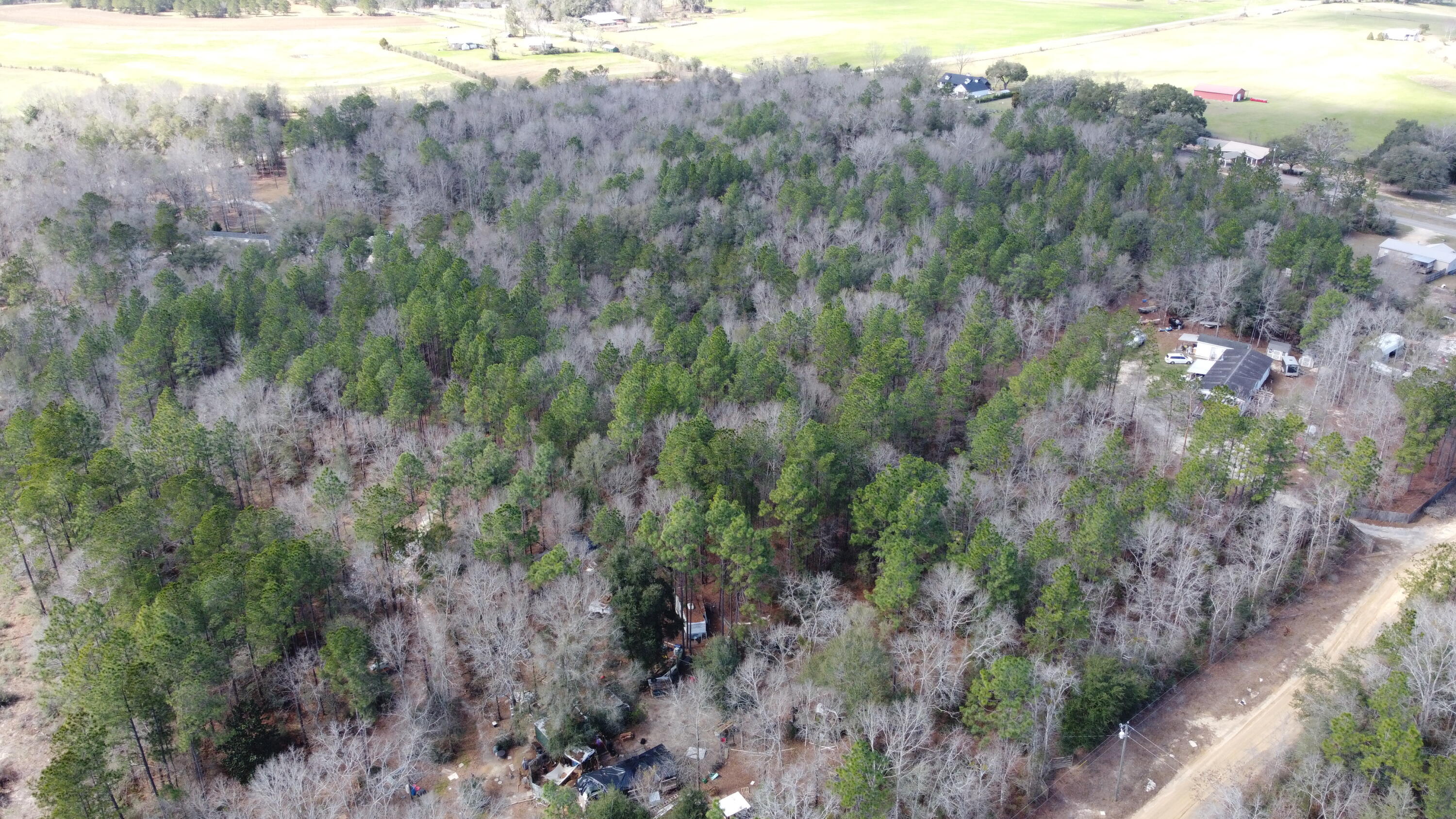 HOLBROOK HILLS - Land