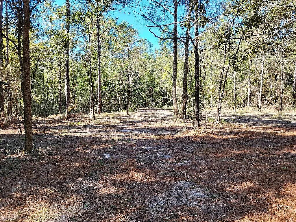 HOLBROOK HILLS - Land