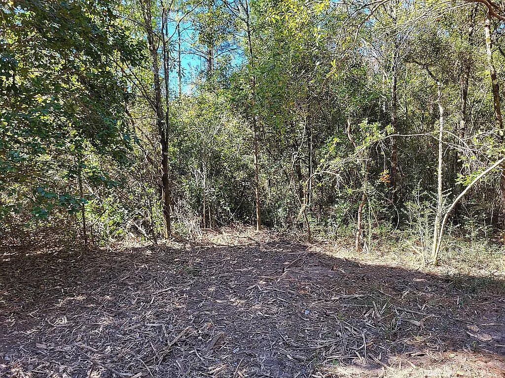 HOLBROOK HILLS - Land