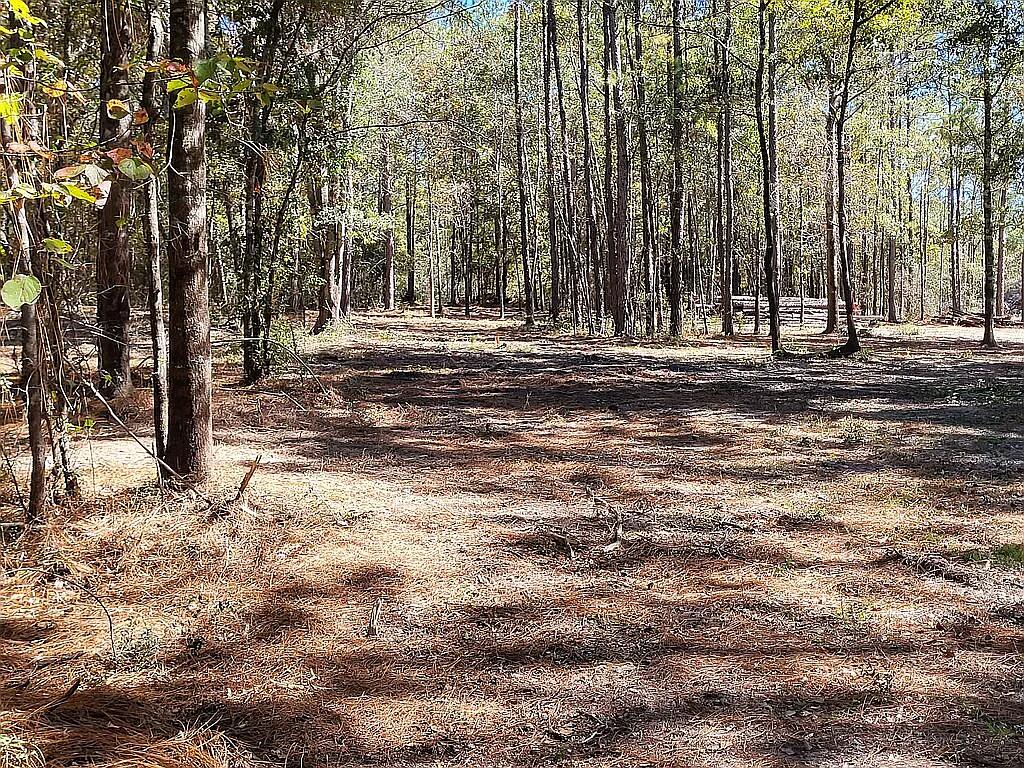 HOLBROOK HILLS - Land