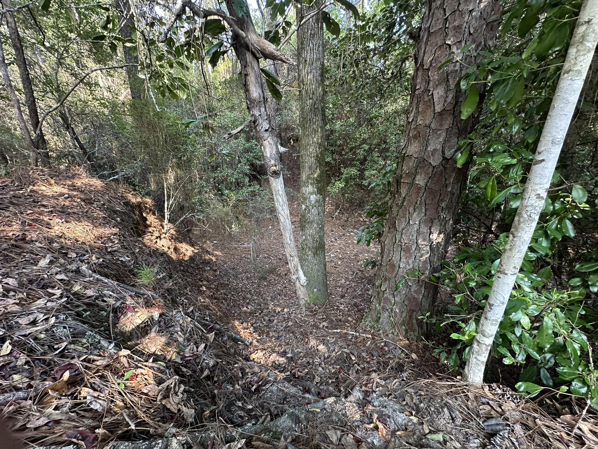 METES & BOUNDS - Land