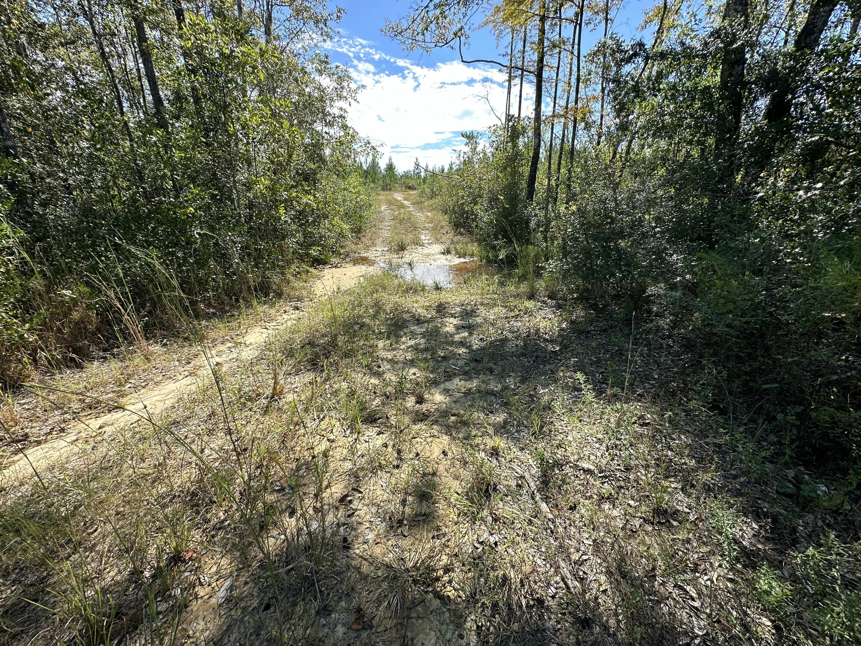 Discover 50.24+/- acres on Millside Road in Laurel Hill, just off Hwy 85. This tract offers a mix of open space and timber, creating opportunities for outdoor recreation, future building, or long-term investment. Its location provides a rural setting with convenient access to surrounding communities. The county has paving plans in place for Millside Road, adding to the appeal of this property.