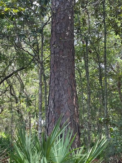 Michners Addition - Land