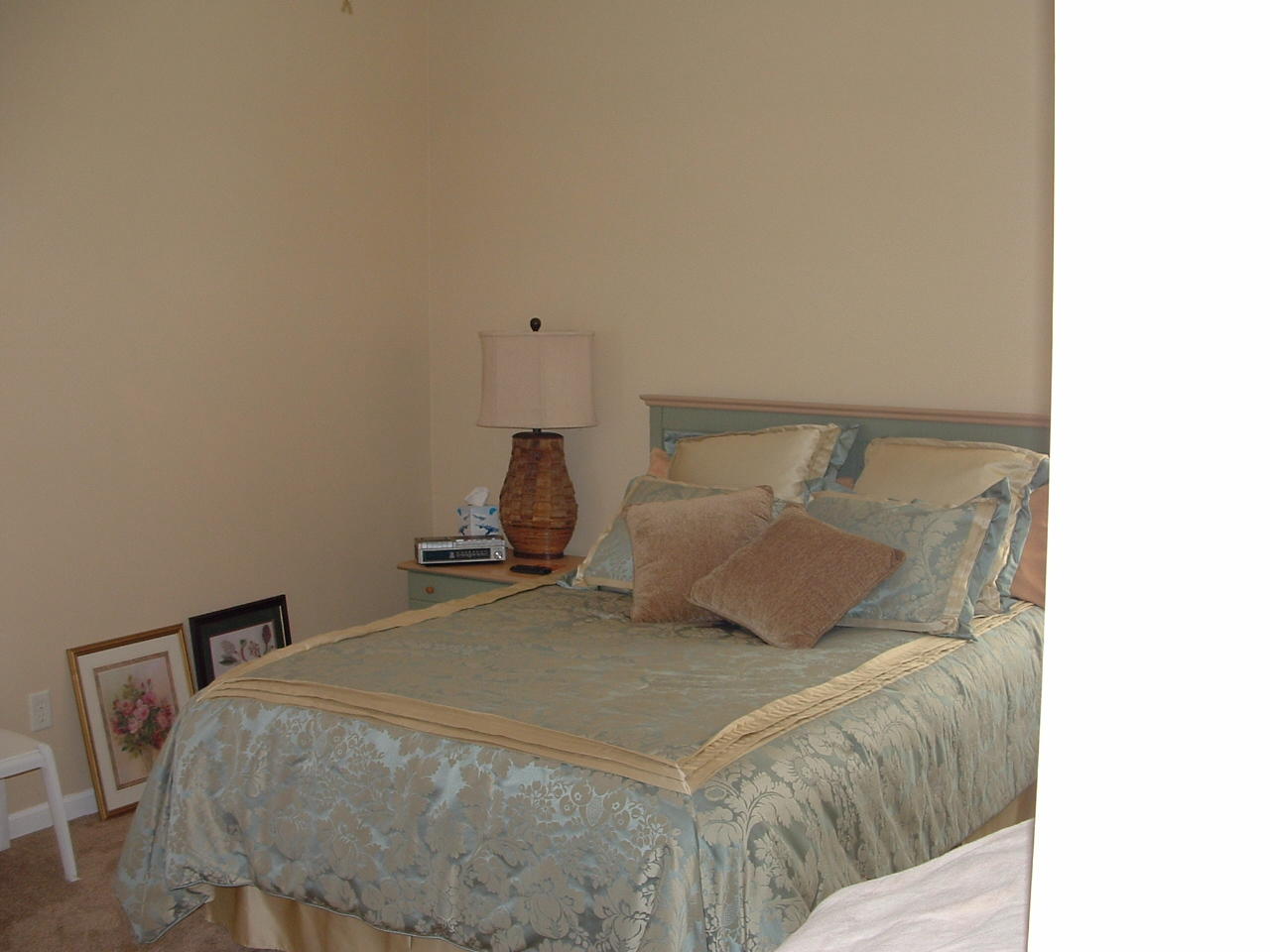 INLET BEACH - Residential