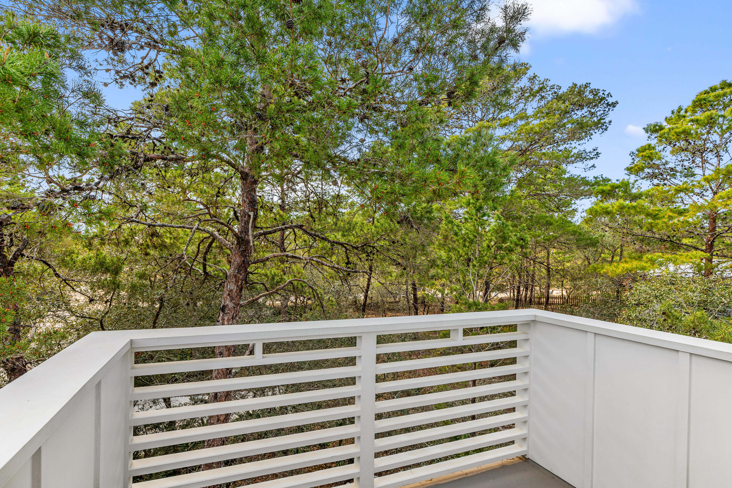 PINES OF BLUE MOUNTAIN - Residential