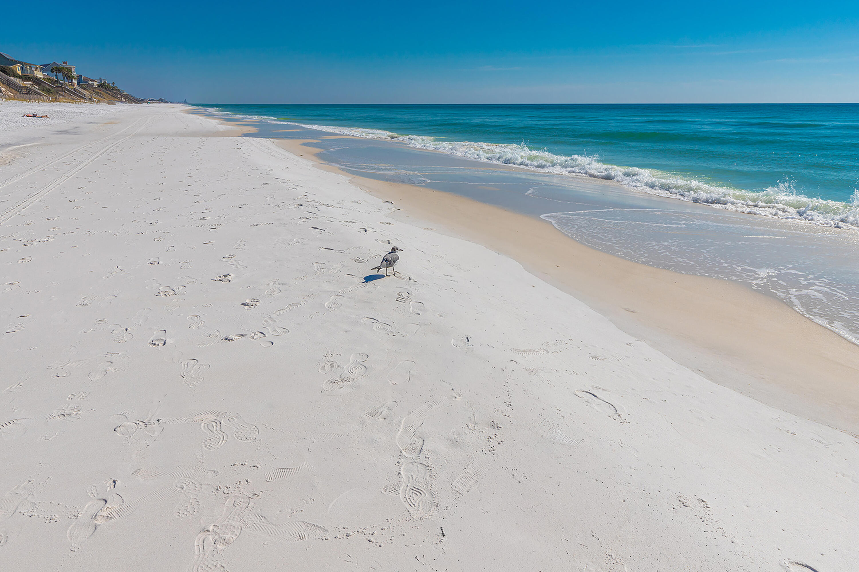 PINES OF BLUE MOUNTAIN - Residential