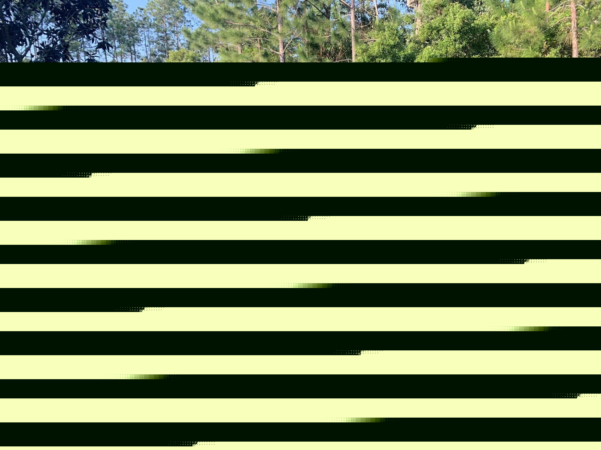 AUDUBON POINT - Residential