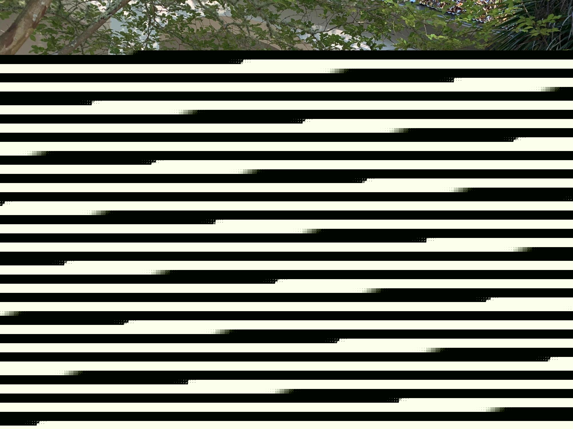 AUDUBON POINT - Residential