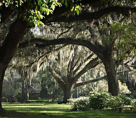 AUDUBON POINT - Residential