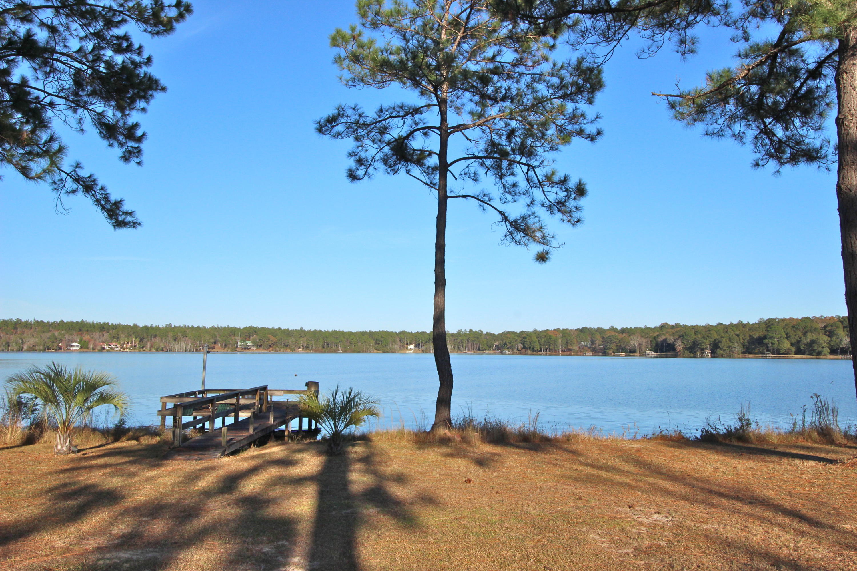 SPRING LAKE ESTATES - Residential